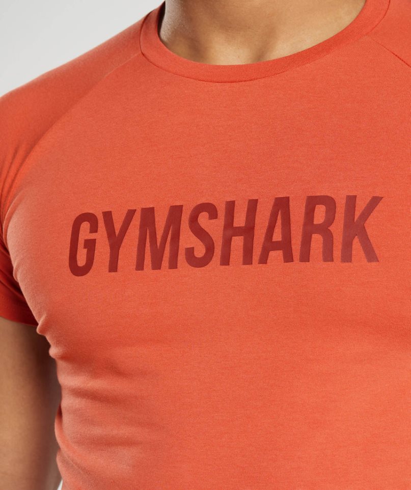 Men's Gymshark Apollo T-Shirts Orange | CA DA7501